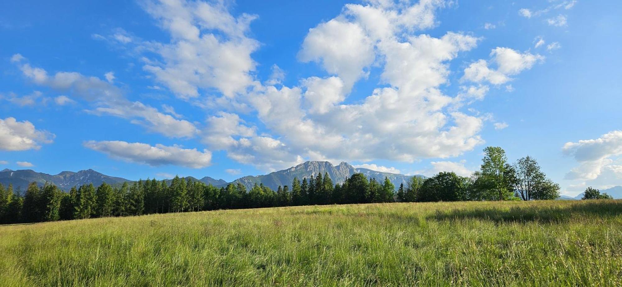 Ferienwohnung Marol Wynajem Pokoi Zakopane Exterior foto
